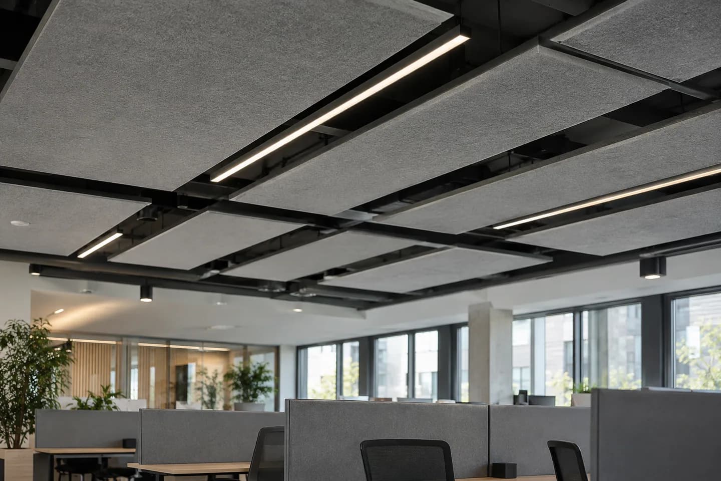 Absorbing ceiling and screens above open-plan workstations