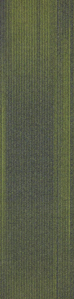 Shade 21909 - 03 carpet tile colourway