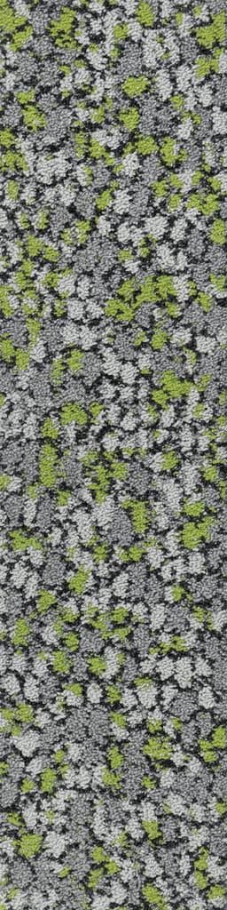 Verdant 21901 - D02
carpet tile colourway